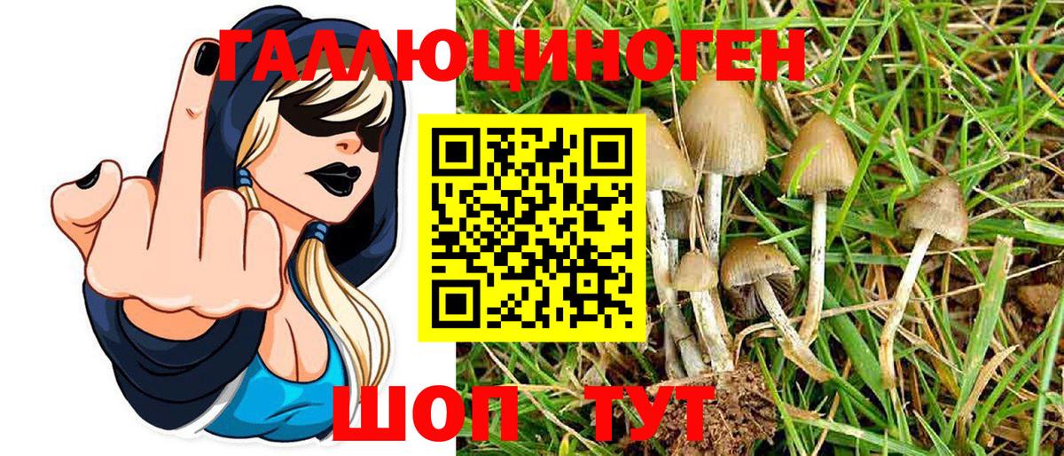 Галлюциногенные грибы Magic Shrooms Краснознаменск